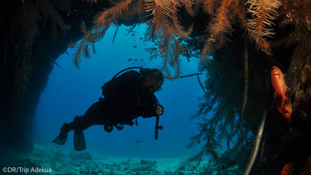 Plongez sur les plus beaux sites du Cap Vert