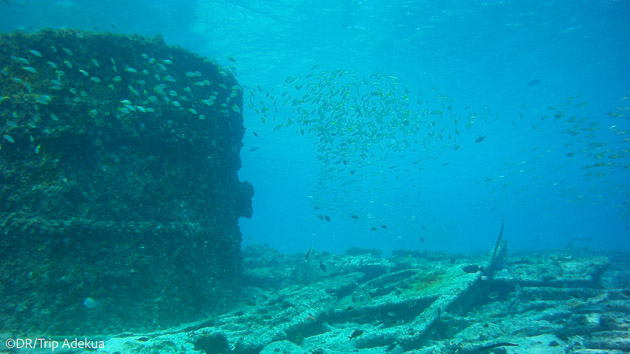 Plongez à la découverte des fonds du Cap Vert
