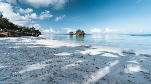 Des vacances plongée inoubliables à Pemba sur l'île de Zanzibar