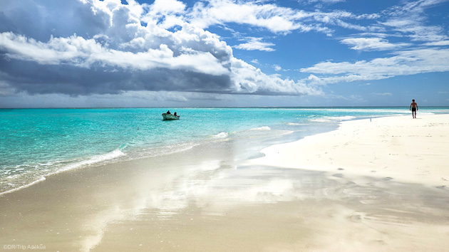 Découvrez la beauté de l'archipel de Zanzibar pendant vos vacances plongée