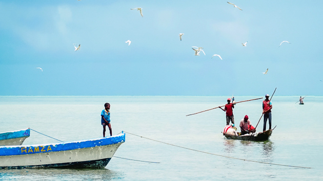 Un séjour plongée inoubliable à Zanzibar en Tanzanie