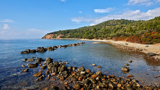 Découvrez les plus beaux sites de plongée de la péninsule de Cassandra