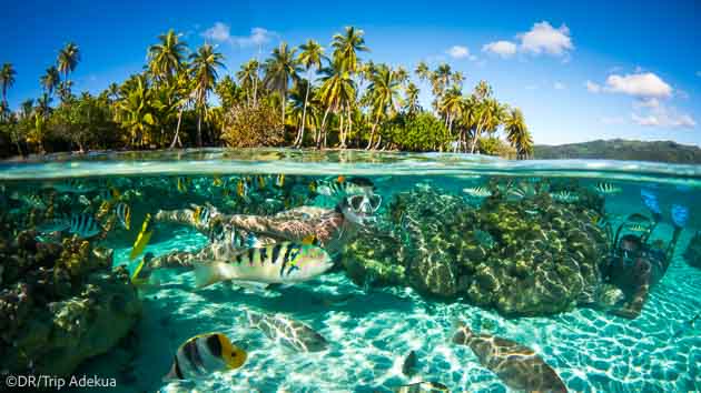 Séjour combiné croisière en Polynésie entre Tahiti et Bora Bora