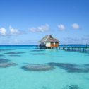 Avis séjour plongée à Tahiti