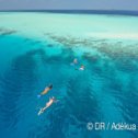 Avis séjour plongée aux Maldives dans l'océan Indien