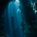 Avis séjour plongée en mer Rouge en Egypte