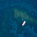 Avis séjour plongée en mer Rouge en Egypte