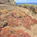 Séjour plongée aux Galapagos en Equateur