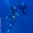 Avis séjour plongée à Sal au Cap Vert