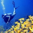 Avis séjour plongée aux Maldives