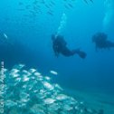 Avis séjour plongée à Lanzarote aux Canaries