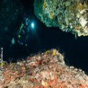 Avis séjour plongée à Ustica en Sicile