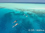 Avis séjour plongée aux Maldives