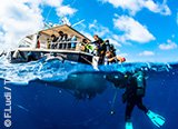 Avis séjour plongée dans le Var Mediterrannée France