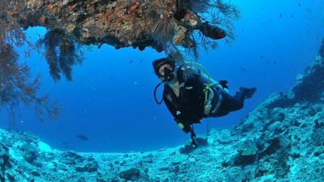 Votre croisière plongée de rêve dans l'archipel des Maldives