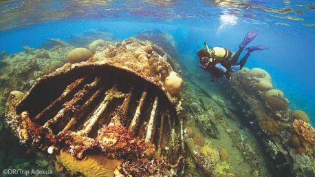 Séjour plongée à Cuba entre fonds sous-marins et découvertes
