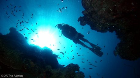 Votre séjour plongée au Costa Rica avec hébergement
