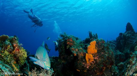 Séjour plongée de rêve à Nusa Penida en Indonésie