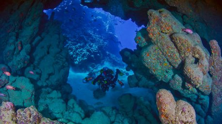 Découvrez le House Reef en mer Rouge avec ce séjour plongée unique