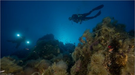 Découvrez les plus beaux sites de plongée de Tavolara en Sardaigne