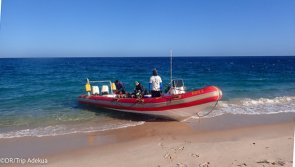 Avis vacances plongée au Mozambique