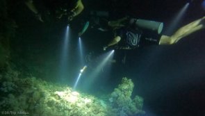 Avis vacances plongée à la découverte de la mer Rouge en Egypte