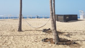 Avis vacances plongée à Sal au Cap Vert