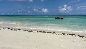 Avis séjour plongée sur l'île de Pemba à Zanzibar en Tanzanie