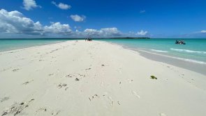 Avis vacances plongée de rêves à Zanzibar