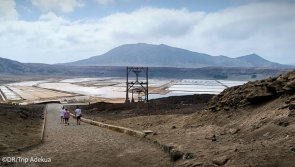 Avis vacances plongée à la découverte du Cap Vert