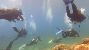 Avis vacances plongée à Malte en Méditerranée