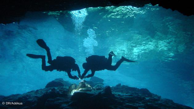 Découvrez les plongées dans les cenotes au coeur de la jungle mexicaine